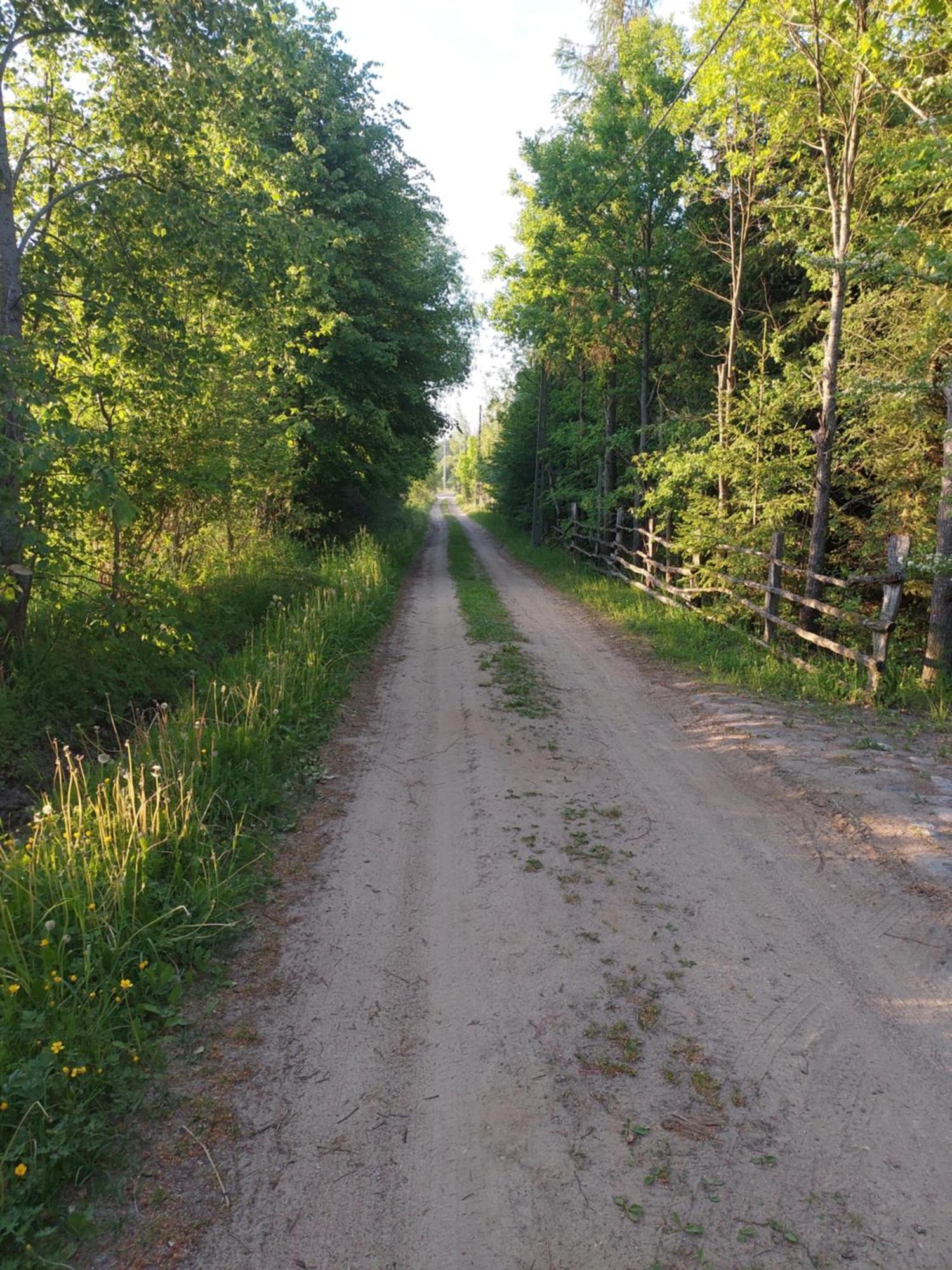Domek Gajowy Białowieża Exteriér fotografie